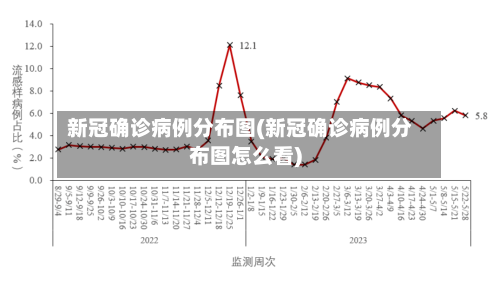 新冠确诊病例分布图(新冠确诊病例分布图怎么看)-第3张图片