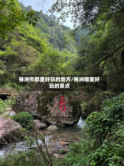 株洲市那里好玩的地方/株洲哪里好玩的景点