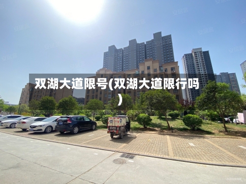 双湖大道限号(双湖大道限行吗)-第2张图片