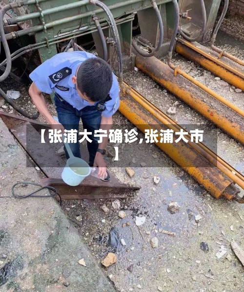 【张浦大宁确诊,张浦大市】-第3张图片