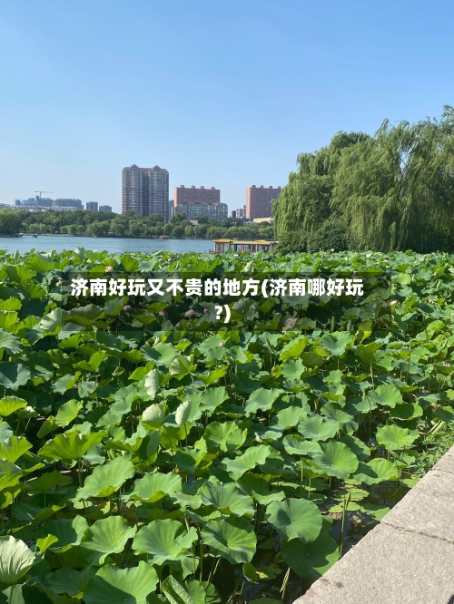 济南好玩又不贵的地方(济南哪好玩?)
