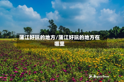 蒲江好玩的地方/蒲江好玩的地方在哪里
