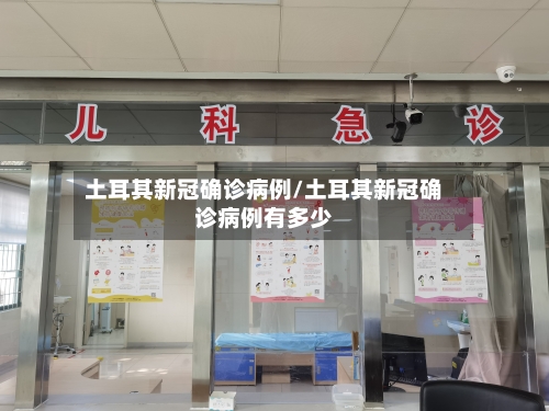 土耳其新冠确诊病例/土耳其新冠确诊病例有多少-第3张图片