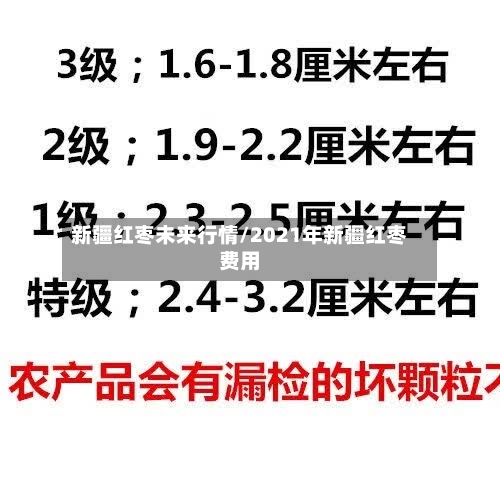 新疆红枣未来行情/2021年新疆红枣费用-第2张图片