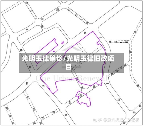 光明玉律确诊/光明玉律旧改项目-第2张图片