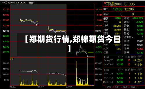 【郑期货行情,郑棉期货今日】