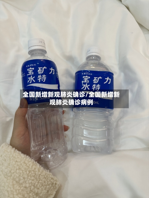 全国新增新观肺炎确诊/全国新增新观肺炎确诊病例