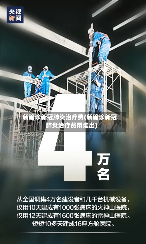 新确诊新冠肺炎治疗费(新确诊新冠肺炎治疗费用谁出)