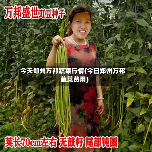 今天郑州万邦蔬菜行情(今日郑州万邦蔬菜费用)-第2张图片