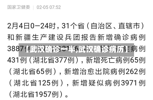 【武汉确诊一半,武汉确诊病历】-第2张图片