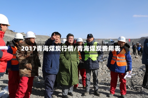 2017青海煤炭行情/青海煤炭费用表-第2张图片
