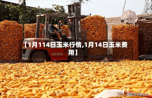 【1月114日玉米行情,1月14日玉米费用】