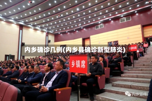 内乡确诊几例(内乡县确诊新型肺炎)-第3张图片