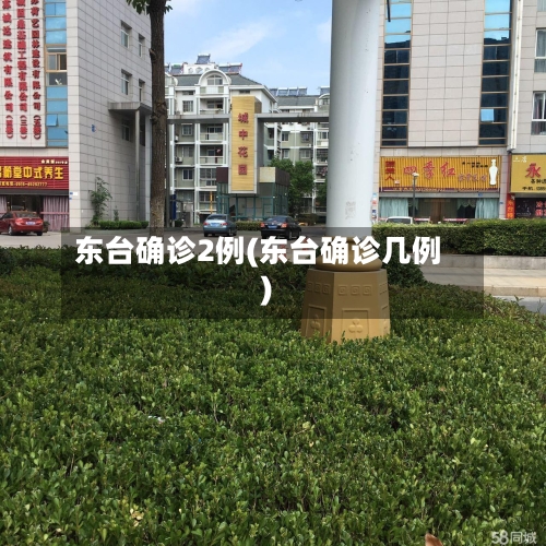 东台确诊2例(东台确诊几例)