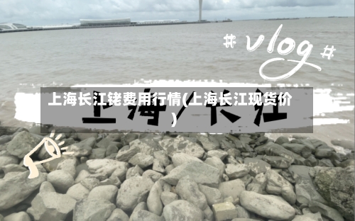 上海长江铑费用行情(上海长江现货价)-第3张图片