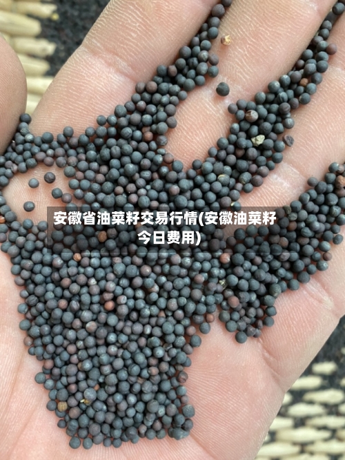 安徽省油菜籽交易行情(安徽油菜籽今日费用)