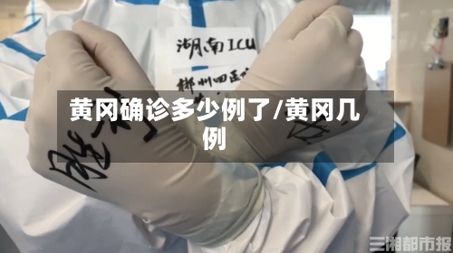 黄冈确诊多少例了/黄冈几例-第2张图片