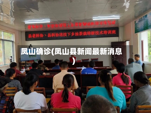 凤山确诊(凤山县新闻最新消息)