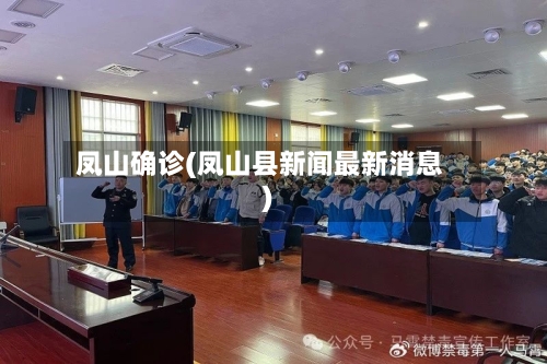 凤山确诊(凤山县新闻最新消息)-第2张图片