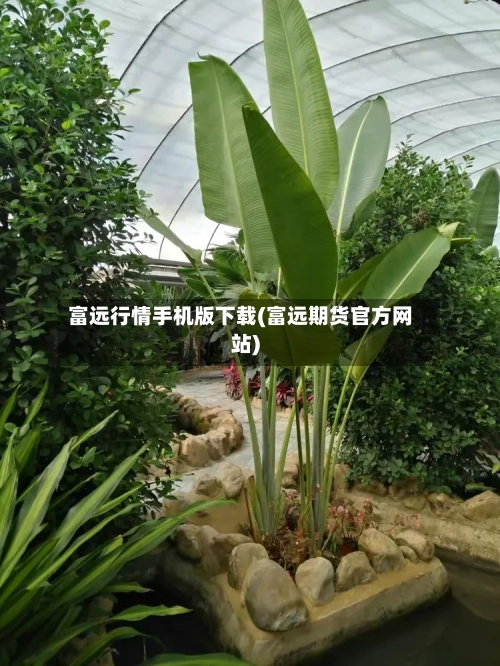 富远行情手机版下载(富远期货官方网站)