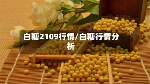 白糖2109行情/白糖行情分析-第1张图片