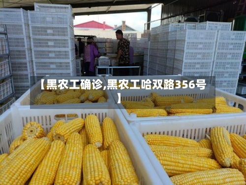 【黑农工确诊,黑农工哈双路356号】-第1张图片