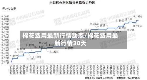 棉花费用最新行情动态/棉花费用最新行情30天
