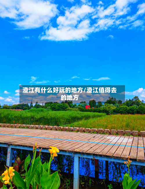 澄江有什么好玩的地方/澄江值得去的地方