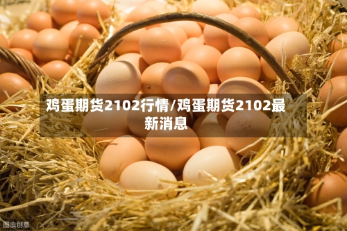 鸡蛋期货2102行情/鸡蛋期货2102最新消息