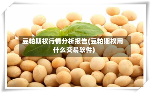豆粕期权行情分析报告(豆粕期权用什么交易软件)-第2张图片