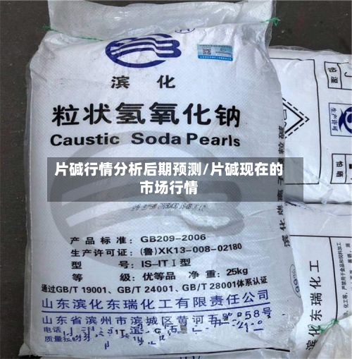 片碱行情分析后期预测/片碱现在的市场行情