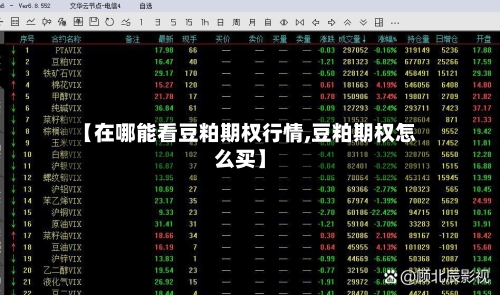 【在哪能看豆粕期权行情,豆粕期权怎么买】