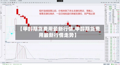 【甲醇期货费用最新行情,甲醇期货费用最新行情走势】-第3张图片