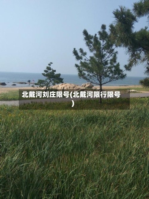 北戴河刘庄限号(北戴河限行限号)