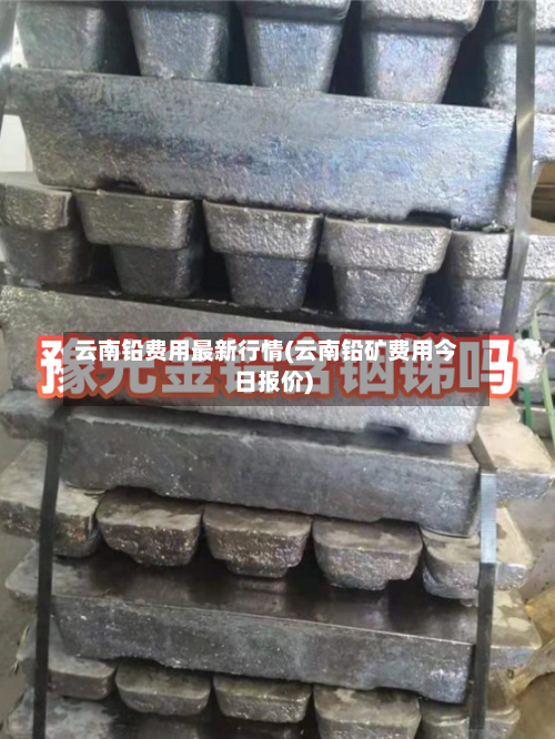 云南铅费用最新行情(云南铅矿费用今日报价)-第2张图片