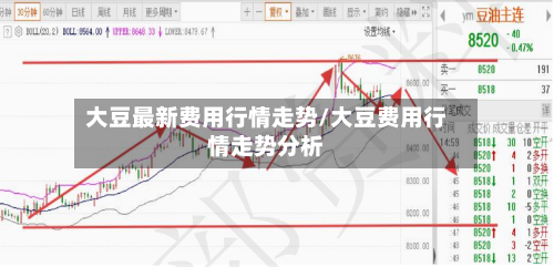 大豆最新费用行情走势/大豆费用行情走势分析-第2张图片