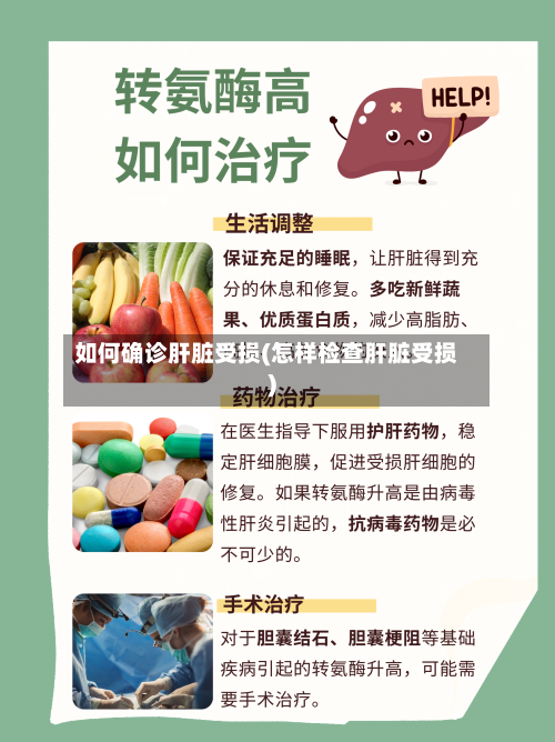 如何确诊肝脏受损(怎样检查肝脏受损)