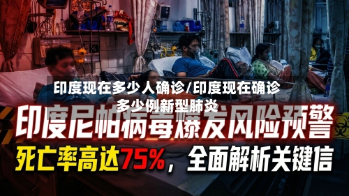 印度现在多少人确诊/印度现在确诊多少例新型肺炎
