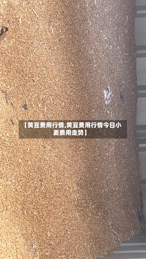 【黄豆费用行情,黄豆费用行情今日小麦费用走势】-第2张图片