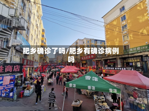 肥乡确诊了吗/肥乡有确诊病例吗-第2张图片