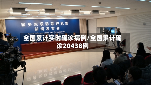 全国累计实时确诊病例/全国累计确诊20438例-第1张图片