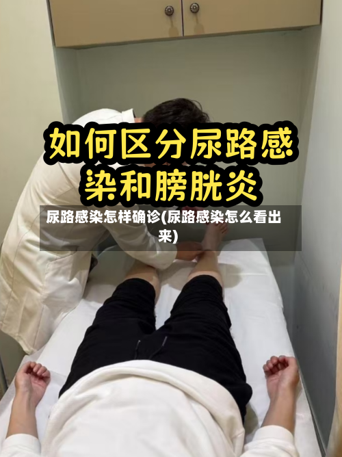 尿路感染怎样确诊(尿路感染怎么看出来)