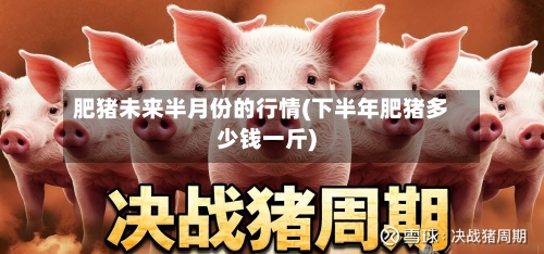 肥猪未来半月份的行情(下半年肥猪多少钱一斤)