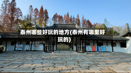 泰州哪些好玩的地方(泰州有哪里好玩的)-第2张图片