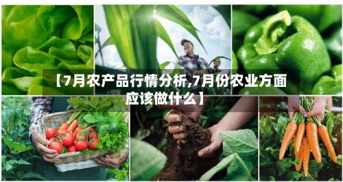 【7月农产品行情分析,7月份农业方面应该做什么】-第2张图片