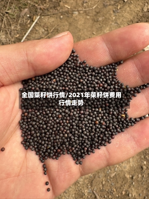 全国菜籽饼行情/2021年菜籽饼费用行情走势-第2张图片