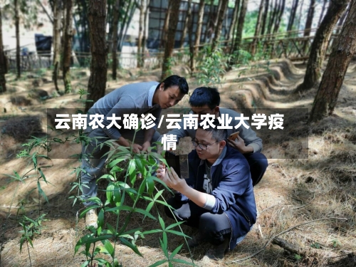 云南农大确诊/云南农业大学疫情-第3张图片