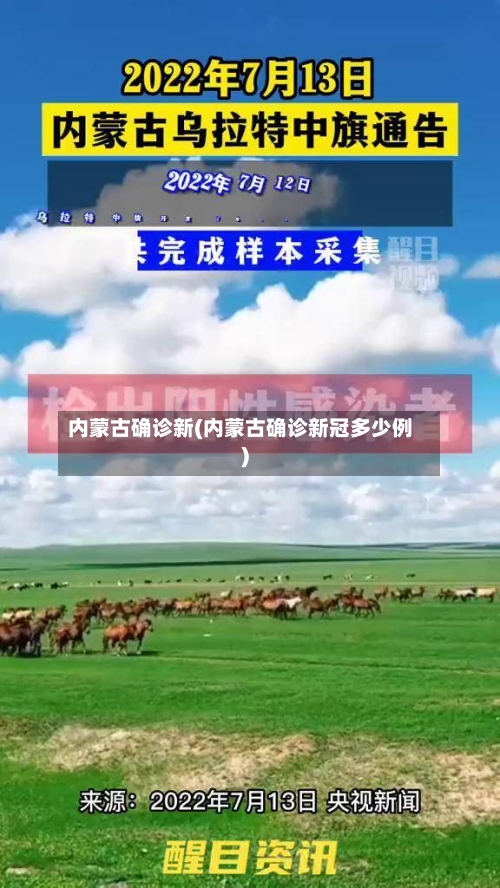 内蒙古确诊新(内蒙古确诊新冠多少例)