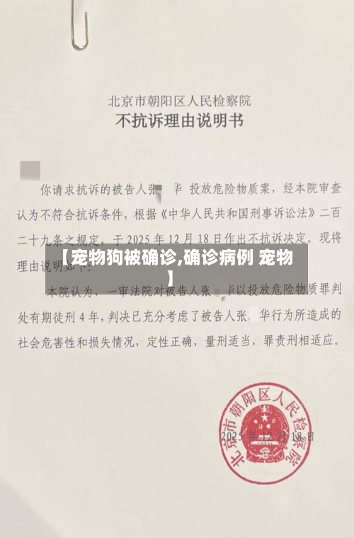 【宠物狗被确诊,确诊病例 宠物】-第1张图片