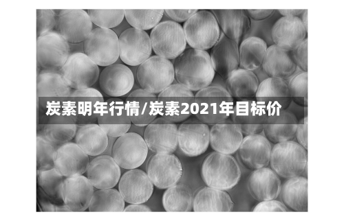炭素明年行情/炭素2021年目标价